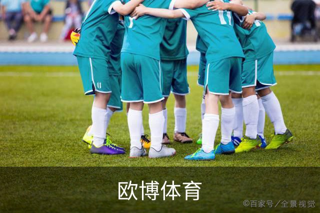 欧博体育公司简介图片